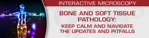 USCAP Bone and Soft Tissue Pathology: Keep Calm and Navigate the Updates and Pitfalls 2024