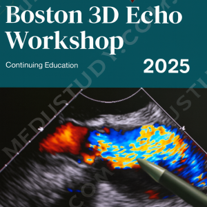 Harvard Boston 3D Echo Workshop 2025