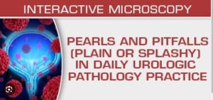 USCAP Pearls and Pitfalls (Plain or Splashy) in Daily Urologic Pathology Practice 2023 (CME VIDEOS)