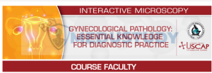 USCAP Gynecological Pathology 2024: Essential Knowledge for Diagnostic Practice