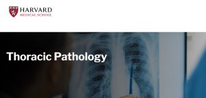 Harvard Thoracic Pathology 2024