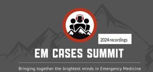 EM Cases Summit 2024