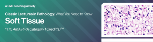 Classic Lectures in Pathology: What You Need to Know: Soft Tissue Pathology 2025