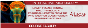 USCAP Lower Female Genital Tract Pathology: Practical Updates from the WHO and FIGO Classification and Reporting Systems 2025