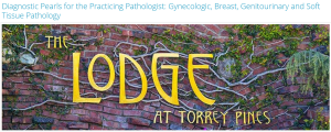 Diagnostic Pearls for the Practicing Pathologist: Gynecologic, Breast, Genitourinary and Soft Tissue Pathology 2025