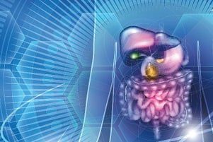 Gastroenterology & Hepatology Board Review Online Course 2024 – Mayo Clinic (Videos + Slides + Quiz)